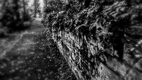 band practice is over - _MG_3694_edited.jpg