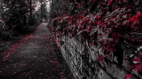 band practice is over - _MG_3695_edited.jpg