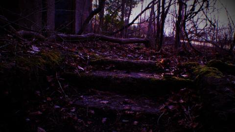 Devil's Creek. Quarry. Offices ruins - _MG_4721.JPG