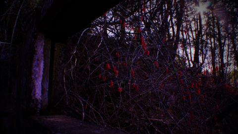 Devil's Creek. Quarry. Offices ruins - _MG_4722.JPG