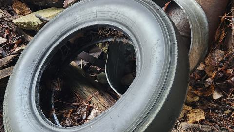 Remembering The Lost - 20231110_093531.jpg