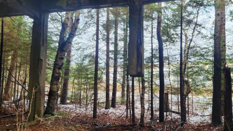 Remembering The Lost - 20231110_093502.jpg