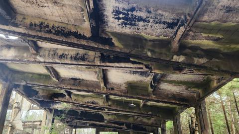 Remembering The Lost - 20231110_093443.jpg