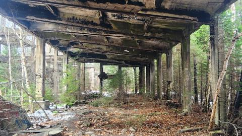 Remembering The Lost - 20231110_093422.jpg