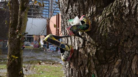 Photo from A walk around