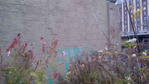 Then vs. Now (2020-ish vs. Nov. 2023) - IMG_20231111_162833661.jpg