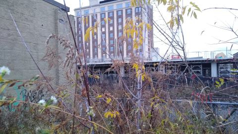 Then vs. Now (2020-ish vs. Nov. 2023) - IMG_20231111_162837343.jpg