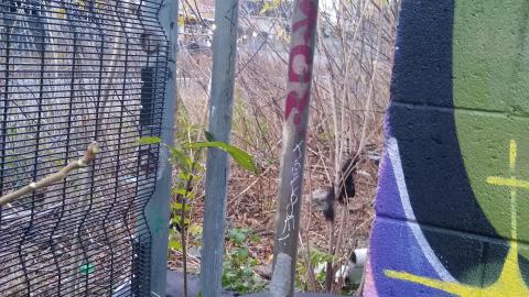 Then vs. Now (2020-ish vs. Nov. 2023) - IMG_20231111_163338009.jpg