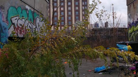 Then vs. Now (2020-ish vs. Nov. 2023) - IMG_20231111_163711396.jpg