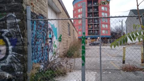 Then vs. Now (2020-ish vs. Nov. 2023) - IMG_20231111_163903742.jpg