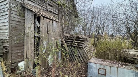 Southwold Carriage House - Exteriors - IMG_3181.jpeg