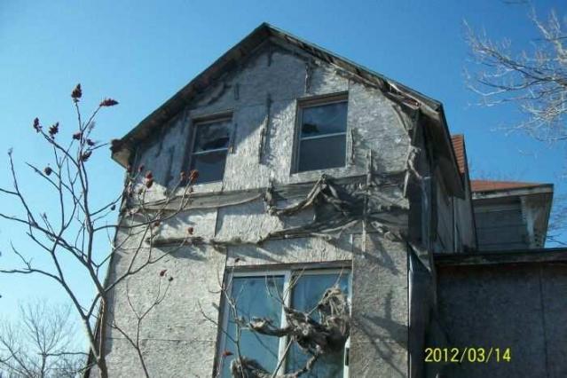 Swamp College House photo 5