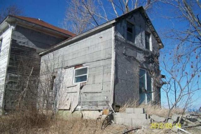 Swamp College House photo 4