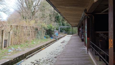 Tracks in ruin - 1000000603.jpg