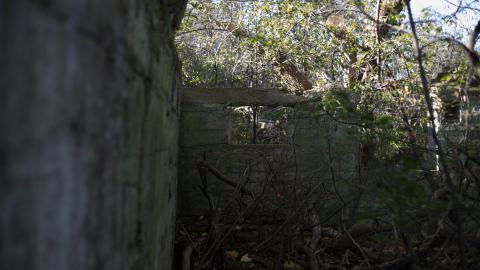 Devil's Creek. Quarry. Offices ruins - IMG_0866.jpg