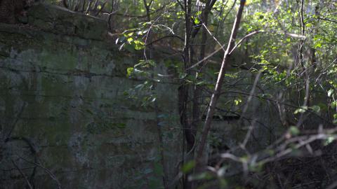 Devil's Creek. Quarry. Offices ruins - IMG_0861.jpeg