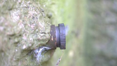 Devil's Creek. Quarry. Offices ruins - IMG_0864.jpeg