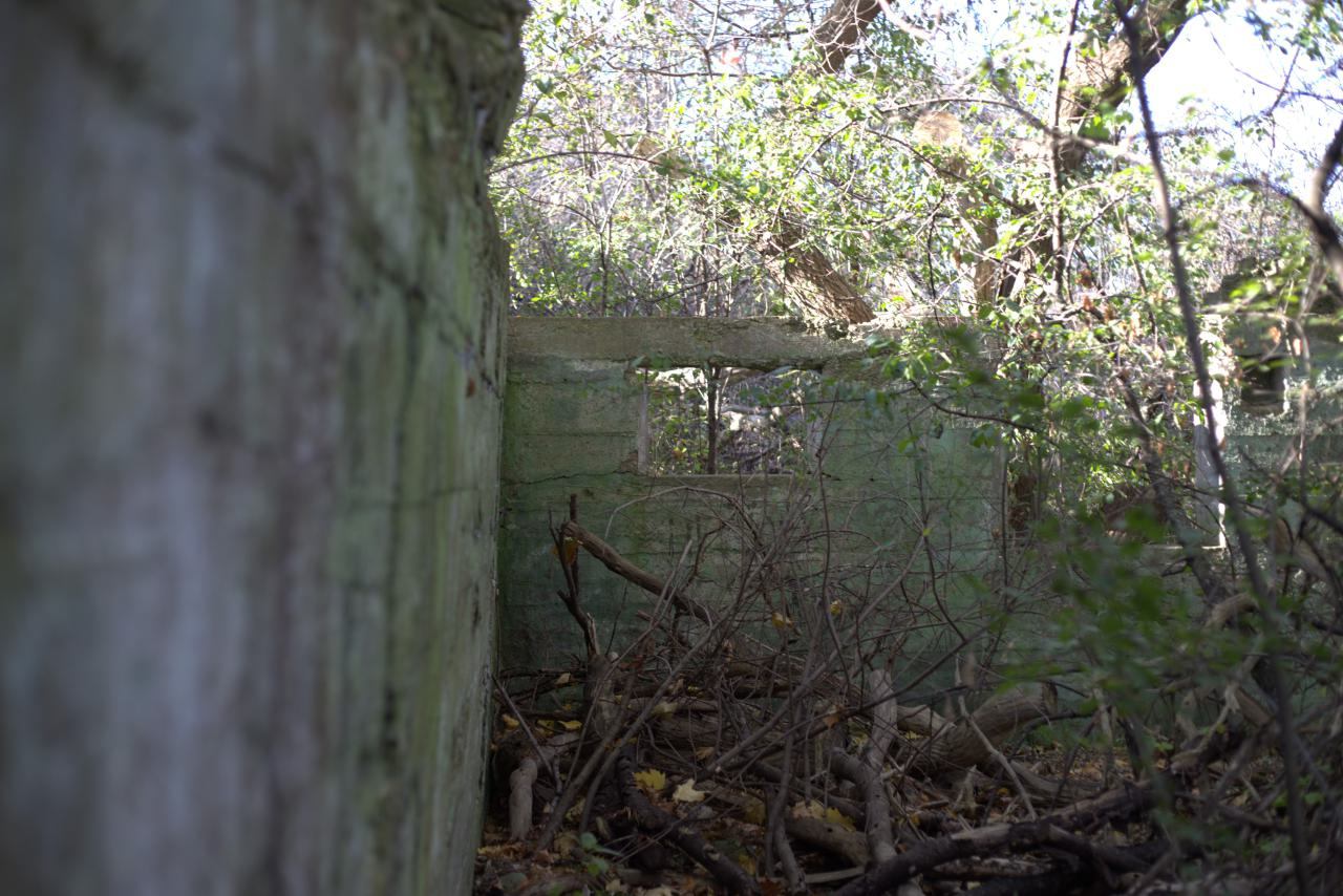 Devil's Creek. Quarry. Offices ruins - IMG_0866.jpeg