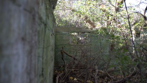 Devil's Creek. Quarry. Offices ruins - IMG_0866.jpeg