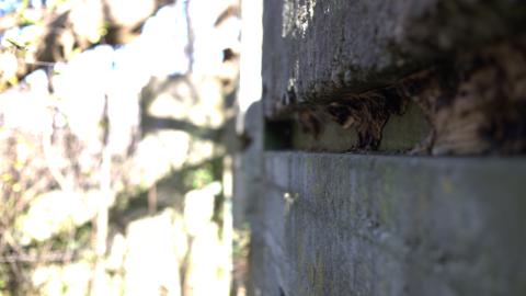 Devil's Creek. Quarry. Offices ruins - IMG_0867.jpeg