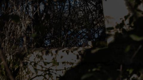 Devil's Creek. Quarry. Offices ruins - IMG_0868.jpeg