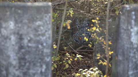 Devil's Creek. Quarry. Offices ruins - IMG_0872.jpeg