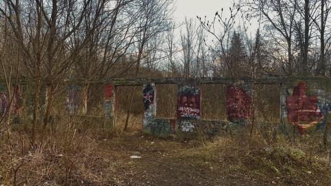 Valley Farm Visit (Nov 2023) - 7D20E739-81B1-47F0-B9EC-AD8E6AC82ADD.jpeg