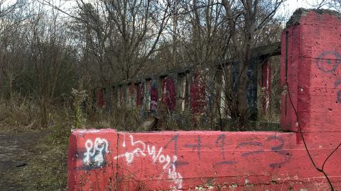 Valley Farm Visit (Nov 2023) - 237A943C-E9CB-4AAB-9B0C-DB129EB3E479.jpeg