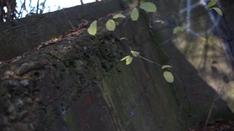 Devil's Creek. Quarry. Offices ruins - IMG_0876.jpeg