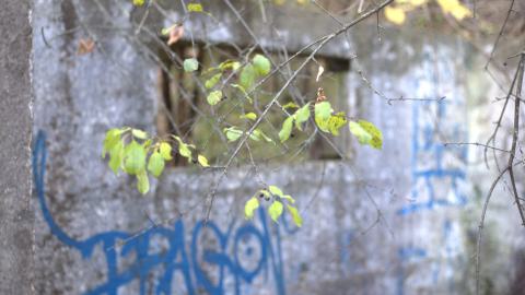 Devil's Creek. Quarry. Offices ruins - IMG_0877.jpeg