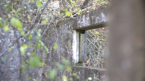 Devil's Creek. Quarry. Offices ruins - IMG_0878.jpeg