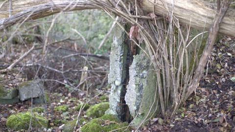 Devil's Creek. Quarry. Offices ruins - IMG_0886.jpeg
