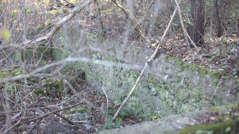 Devil's Creek. Quarry. Offices ruins - IMG_0888.jpeg