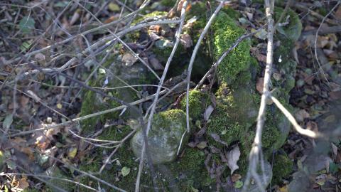 Devil's Creek. Quarry. Offices ruins - IMG_0890.jpeg