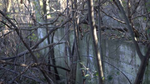 Devil's Creek. Quarry. Offices ruins - IMG_0891.jpeg