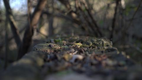 Devil's Creek. Quarry. Offices ruins - IMG_0894.jpeg