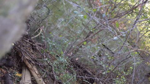 Devil's Creek. Quarry. Offices ruins - IMG_0899.jpeg