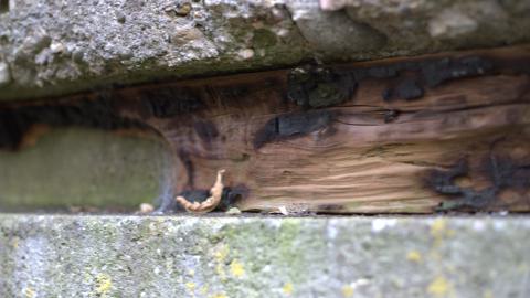 Devil's Creek. Quarry. Offices ruins - IMG_0905.jpeg