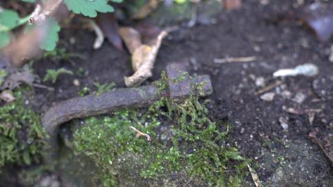Devil's Creek. Quarry. Offices ruins - IMG_0907.jpeg