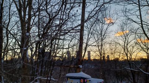 Frosted Golden Hour - 20220218_173734.jpg