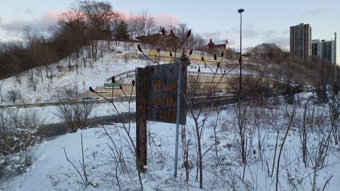 Frosted Golden Hour - 20220218_174956.jpg