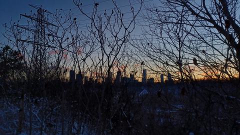 Frosted Golden Hour - 20220218_175004.jpg