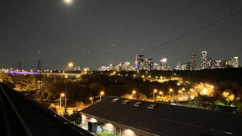 Frosted Golden Hour - IMG_20231116_162242_681.jpg