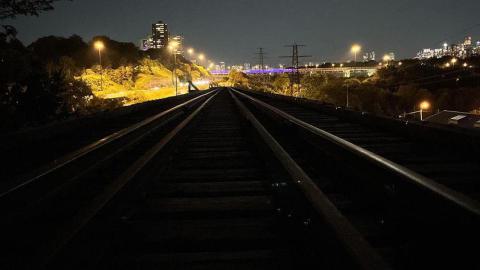 Frosted Golden Hour - IMG_20231116_162254_485.jpg