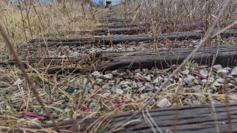 Subways, Sunsets and Sewers - PXL_20231117_211222708.jpg