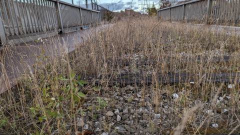 Subways, Sunsets and Sewers - PXL_20231117_211645218.jpg