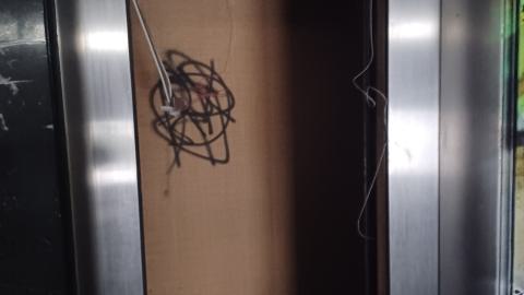 April Showers - 20230429_145709.jpg