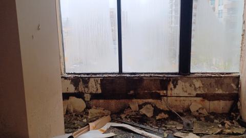 April Showers - 20230429_154716.jpg