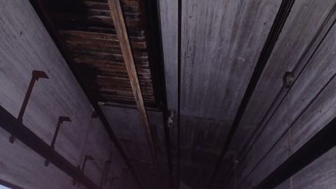 April Showers - 20230429_162117.jpg