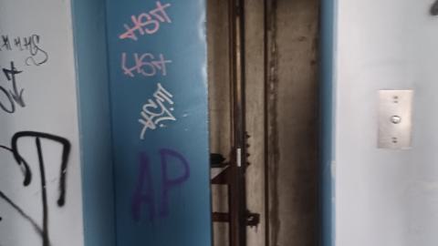 April Showers - 20230429_162144.jpg